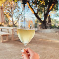 The Best Smooth Wines for Wine Lovers