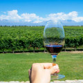 The Best Red Wines in America: A Sommelier's Guide