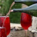 The Wine Giants: A Look into the World's Largest Wine Companies