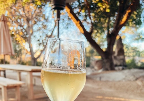 The Perfect Wine for Beginners Who Don't Like Wine